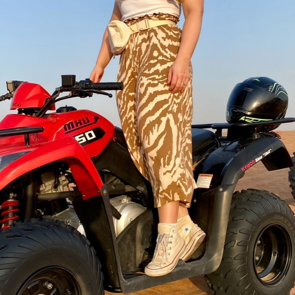 Shirred High Waist Culotte Pants in Animal Print - US 8